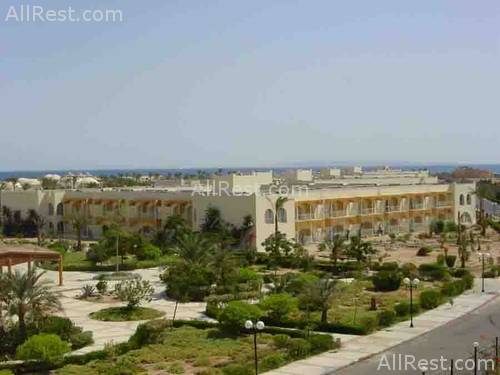Desert Rose Resort 